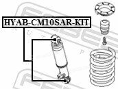 Febest HYAB-CM10SAR-KIT