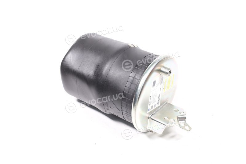 Sampa SP 556416-K