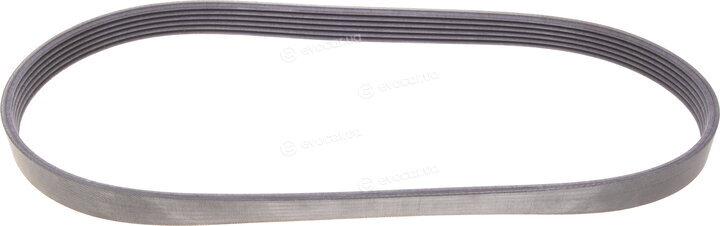 Continental 6PK873 ELAST