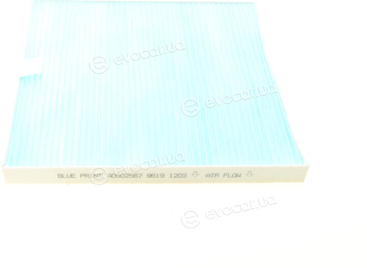 Blue Print ADG02567