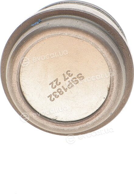 Magneti Marelli 301191618320