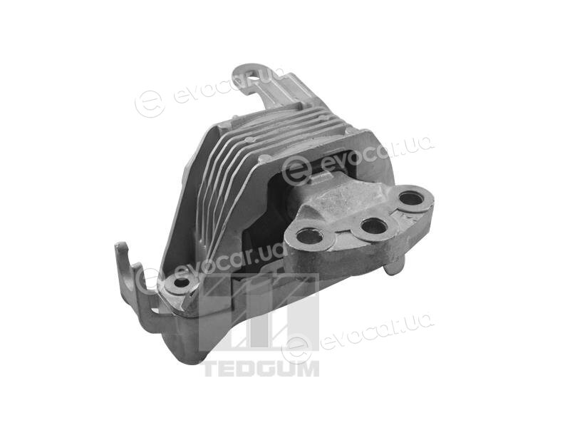 Tedgum TED86251