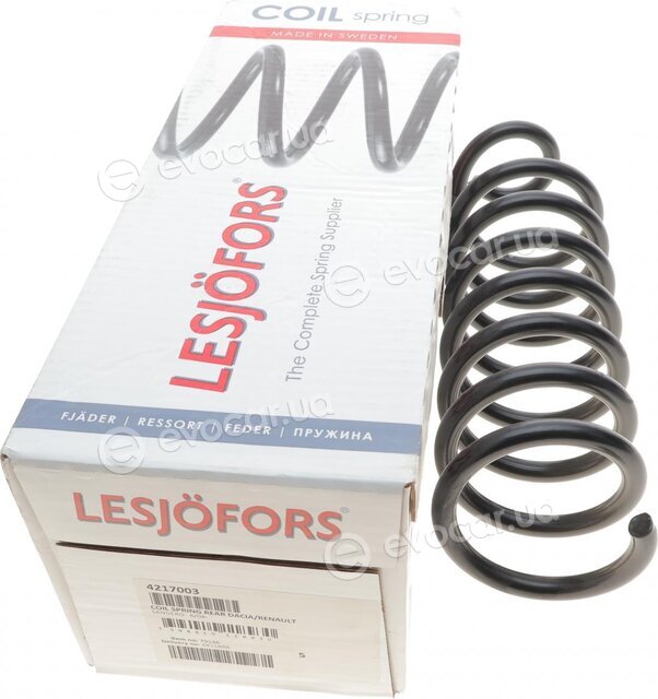 Lesjofors 4217003