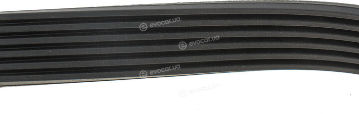 Hutchinson 864 K 6