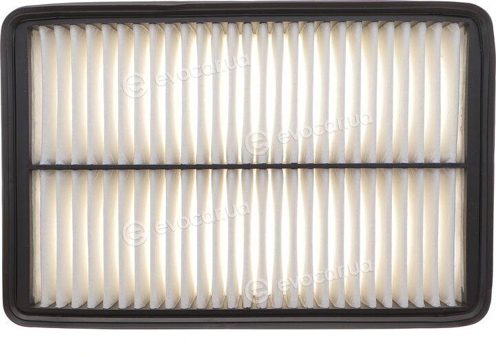 Solgy 103169
