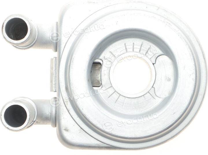 Meat & Doria 95049