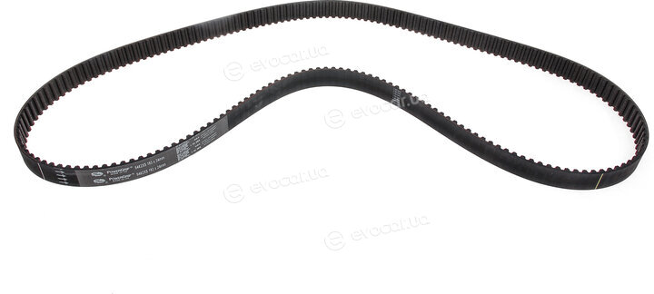 Gates K035462XS