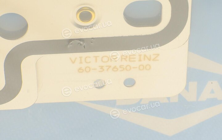 Victor Reinz 61-37650-00