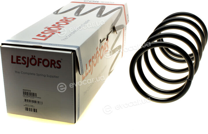 Lesjofors 4237223