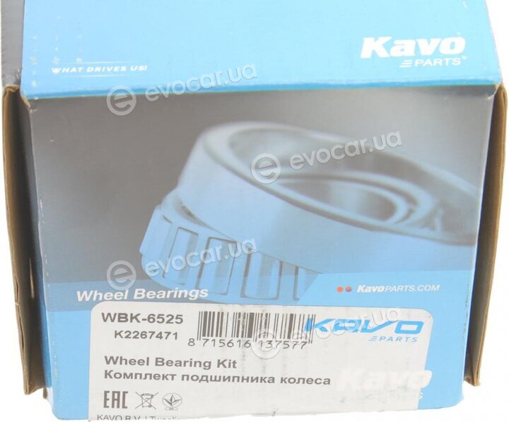 Kavo WBK-6525