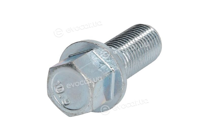 Mamooth SK1415028K17K
