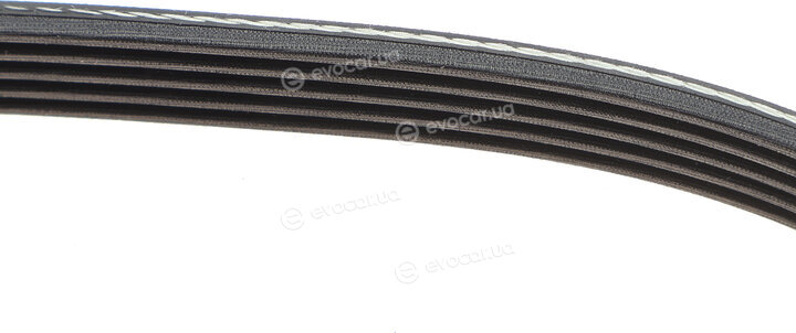 Dayco 5PK1130
