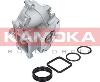 Kamoka T0049