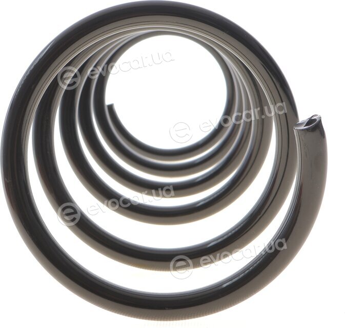 Solgy 212145