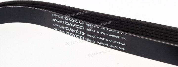 Dayco 6PK2055