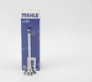Mahle 029 VA 30517 000