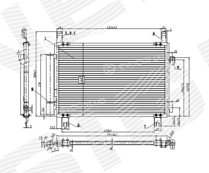 Signeda RC940085