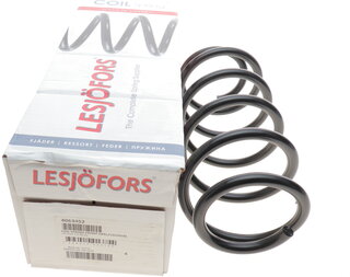 Lesjofors 4063452