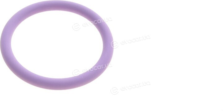 Elring 486.070
