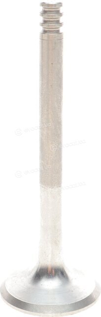 Mahle 029 VA 31103 100