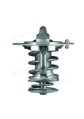 Mahle TX 83 76D