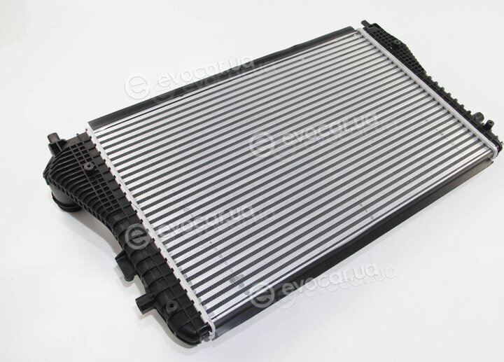 Mahle CI 207 000S