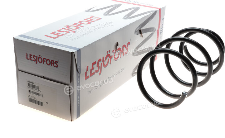 Lesjofors 4008457