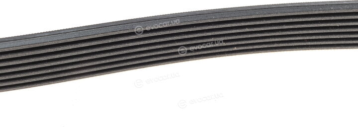 Continental 7PK1338