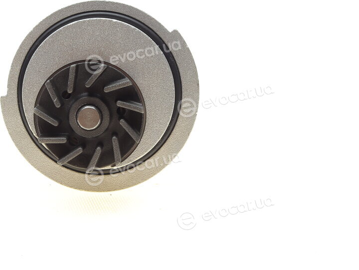 Continental CT874WP5