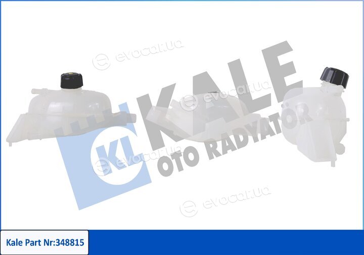 Kale 348815