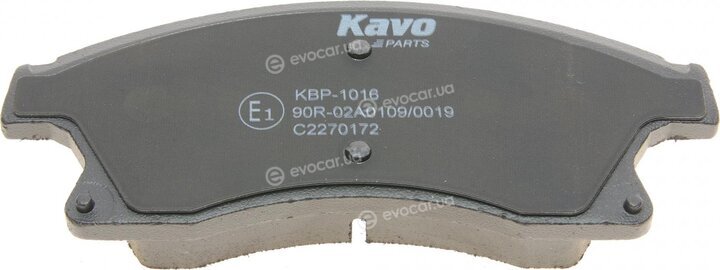 Kavo KBP-1016