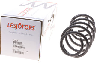 Lesjofors 4066758
