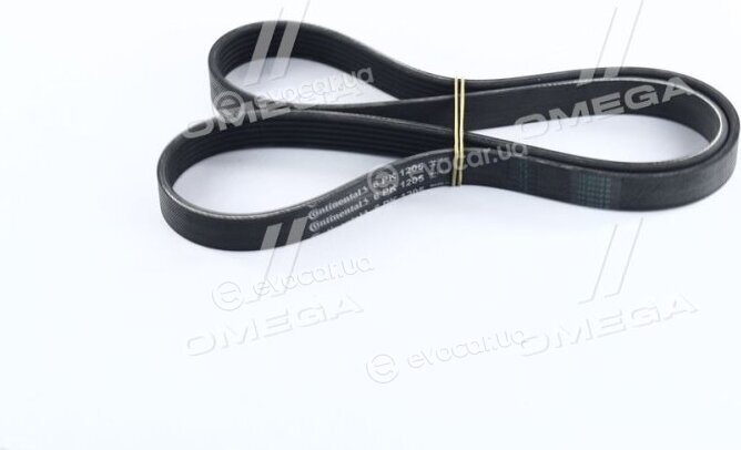 Continental 6PK1205