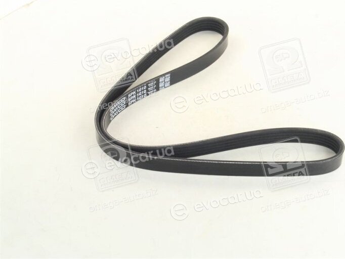 Dayco 5PK1010
