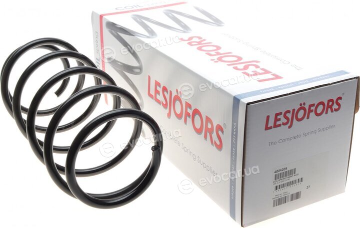 Lesjofors 4004205