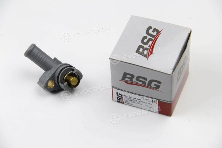 BSG BSG 30-126-002