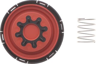 Solgy 124032