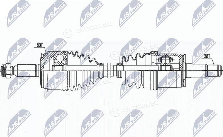 NTY NPW-MS-079