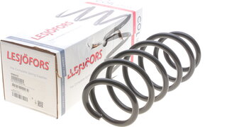 Lesjofors 4095075