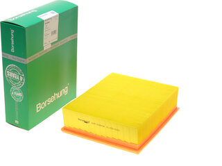 Borsehung B10545