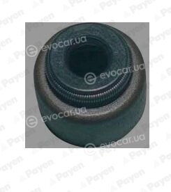 Payen PA6090