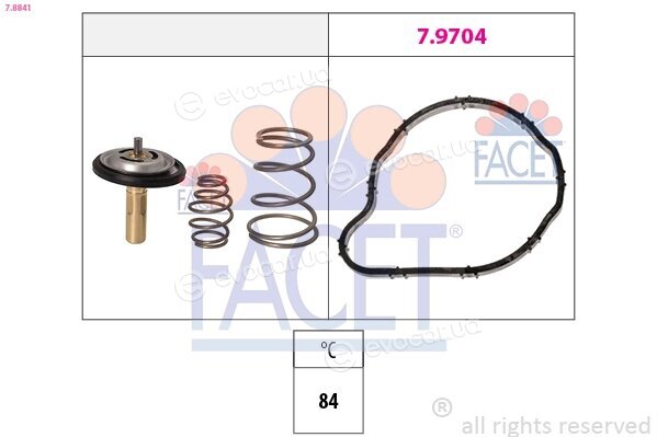 Facet 7.8841