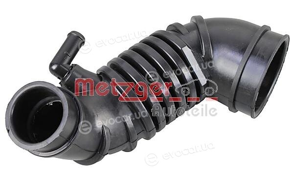 Metzger 2389025
