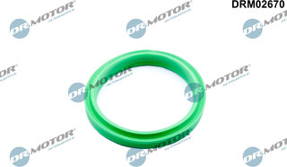 Dr. Motor DRM02670