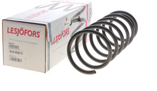 Lesjofors 4095021