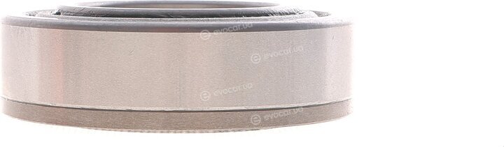 Solgy 216302