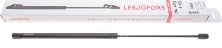 Lesjofors 8185708