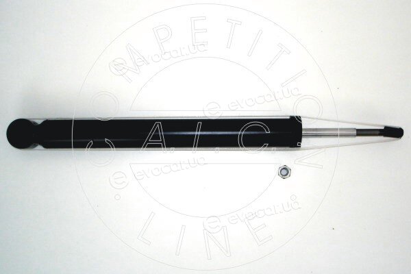 AIC 51958