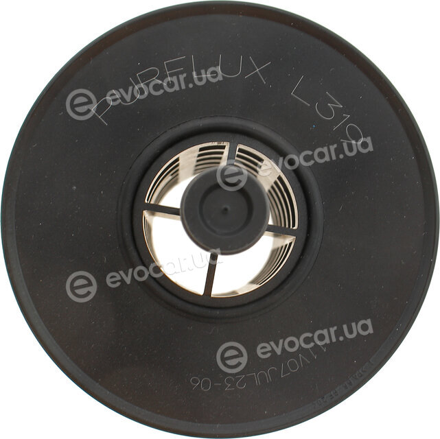 Purflux L319