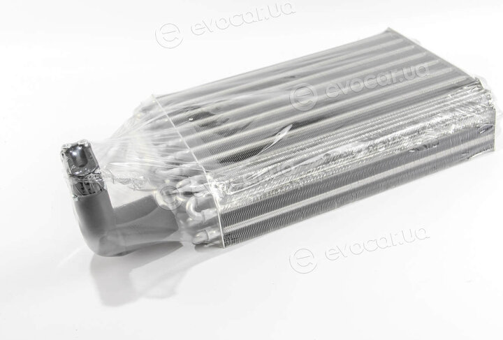 Mahle AE 31 000S
